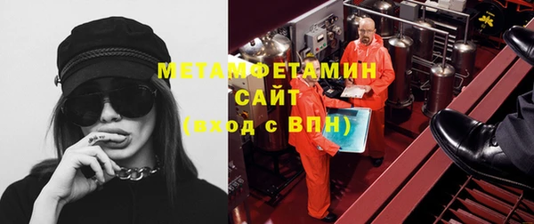 сатива Бородино