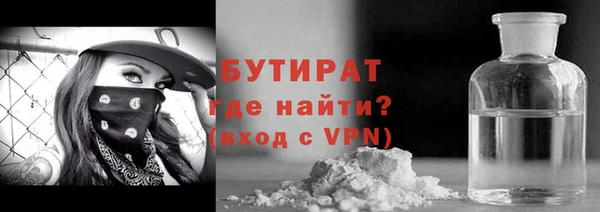сатива Бородино