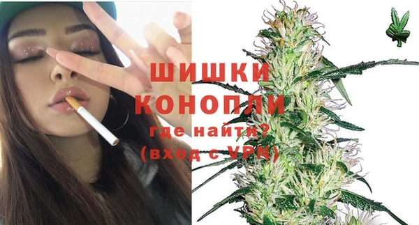 PSILOCYBIN Бронницы