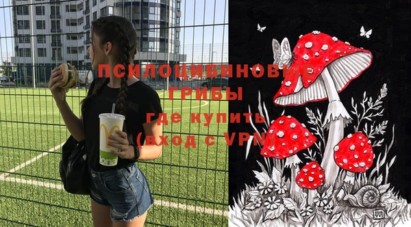 PSILOCYBIN Бронницы