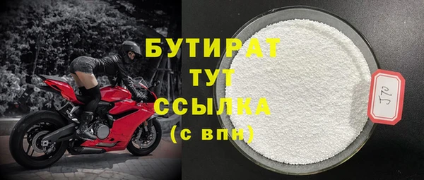 сатива Бородино