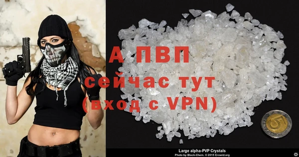 сатива Бородино