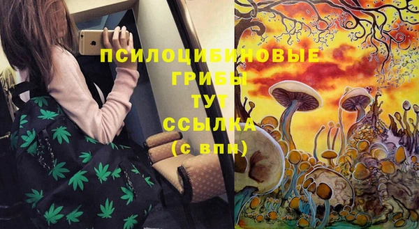 трава Бугульма
