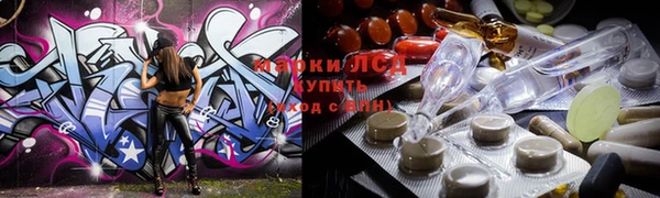 сатива Бородино