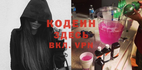 сатива Бородино