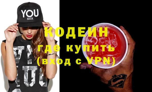 сатива Бородино