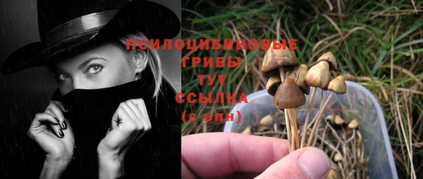 трава Бугульма